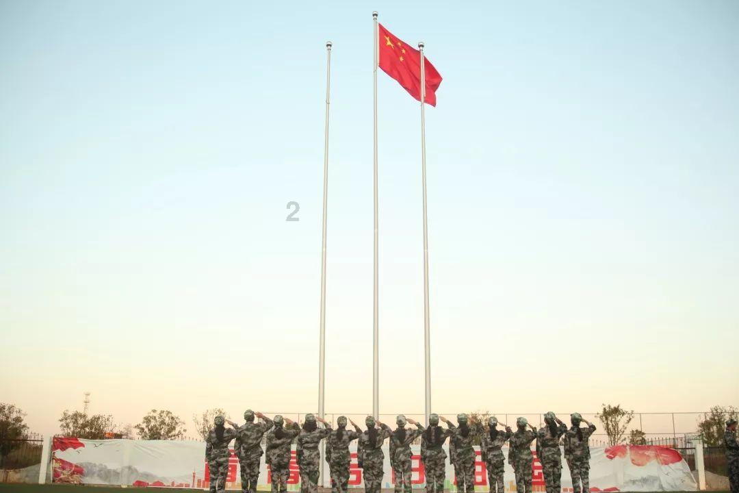 探秘有没有类似《绿皮书》的电影值得推荐?,解答你的疑问